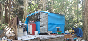 SunsingStar - Dig Me A Hole