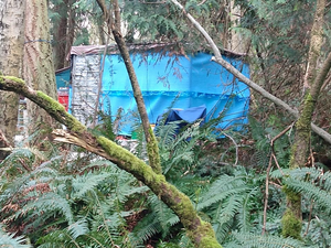 SunsingStar - Dig Me A Hole