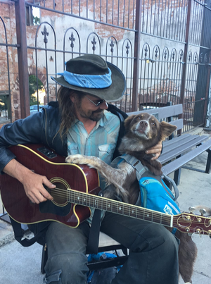 SunsingStar - Are We At Fault