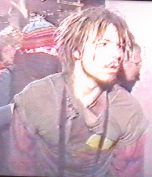 SunsingStar - No Compromise