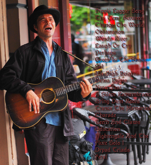 SunsingStar - Hippie Logger Song